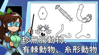 シリーズ動物：珍無腸動物と有棘動物と糸形動物