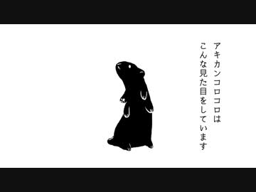 アキカンコロコロについてのおねがい
