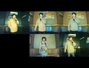 ポニーテールとシュシュ／AKB48