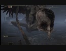 ダークソウルシリーズ未プレイ主のエルデンリング実況part 25
