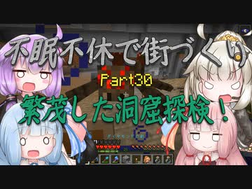 【Minecraft】紲星あかりの不眠不休で街づくり　Part30「VOICEROID実況」