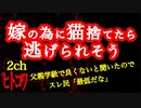 【2ch】嫁と生まれてくる子のために猫捨てたら逃げられそう【ヒトコワ】