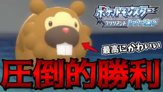 The winner is Bippa.【ポケモンBDSP】
