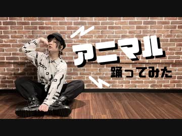 【teamCattleya】アニマル【踊ってみた】