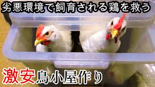 【ぴ】１００日後に食われるひよこ養鶏編　竹を切って鶏舎を建てる　鶏肉と卵の自給自足