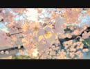 MOMO - MUSIC VIDEO 【オリジナル曲】