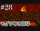 脳天をカチ割れ！！【ゼルダの伝説 時のオカリナ】#28