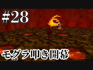 脳天をカチ割れ！！【ゼルダの伝説 時のオカリナ】#28