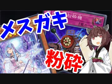 【遊戯王マスターデュエル】決闘きりたん～メスガキ粉砕編～