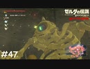 ハイラル城探索編【ゼルダの伝説 ブレスオブザワイルド マスターモード】#47