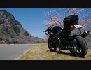 2022 Salvage Touring Report 1