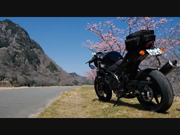 2022 Salvage Touring Report 1