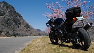 2022 Salvage Touring Report 1