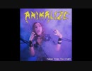 Animalize - L'Aigle de la Route