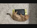 【いゔ】スイッチくらい