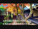 岩国の秋模様点描　吉香公園・宇野千代先 生家〜庭園の紅葉　R3