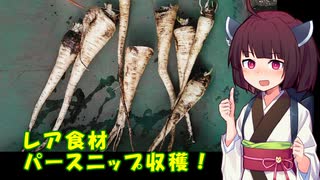 きりたんの農家的クッキングPart5「収穫せよ！レア野菜パースニップ」