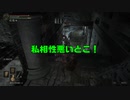 低スぺPCプレイヤーのELDEN RING part17