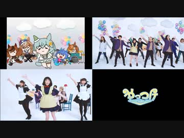 セイウンダンス比較