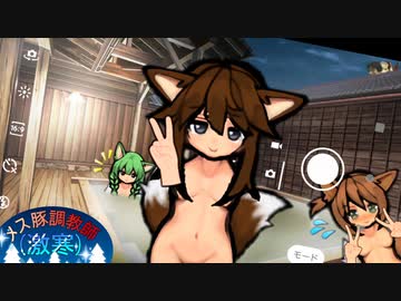 メス豚調教師(激寒).RimWorld.66