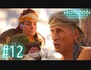 【実況】何を…！ごぼぉ"っ！ごぼっ…！ #12【Horizon Forbidden West】