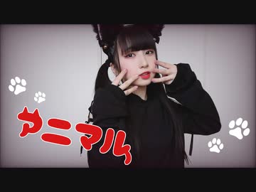 【振付混ぜて】アニマル 踊ってみた【岩茶】