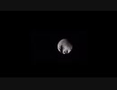 花月【DTM-original】