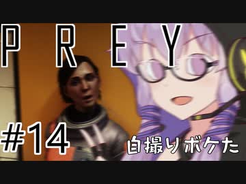 結月、Preyします。 #014