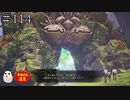 【TOARISE】テイルズオブアライズ プレイ動画 その114【PC版】