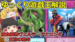 【ゆっくり解説】グッバイアナコンダ。捕食植物ヴェルテ・アナコンダ＆王宮の勅命【遊戯王OCG＆遊戯王マスターデュエル】