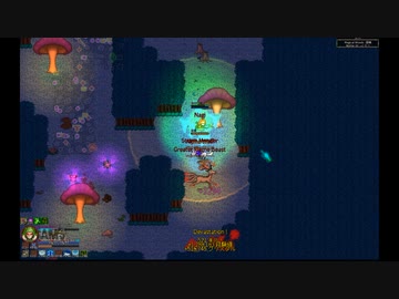 chroniconお散歩テスト