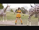 【踊ってみた】アニマル/DECO*27【白石ありさ】