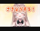 まったりさぎょうするよーーー！！【ゲリラ放送】