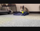 ストレスを感じながらの練習！（パター）