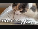 はじめての変顔！