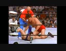 ジャイアント馬場 vs. ビル・ロビンソン 76年7月24日 全日