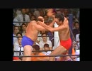ジャイアント馬場 vs. フリッツ・フォン・エリック 75年7月25日 全日