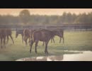 ついなちゃんのふいんきでウイポ9 2021の裏側118