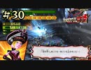 【字幕プレイ】トリガーハッピーが贈るThe Wonderful 101 Remastered #30