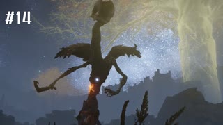 【ELDEN RING】はじめての悶絶褪せ人地獄_#14