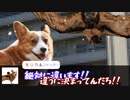 畜生共のクトゥルフ神話TRPG　【探索者は動物(畜生)】Part2【ゆっくりTRPG】