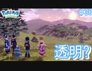 姿なき色違いの恐怖【アルセウス ♯38】