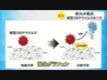 熊本大学 酸化グラフェンの研究と女性研究員殺害事件の謎【再掲】