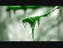 #moss Chiyuri.Nagayama