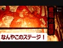 【ホラーゲーム】【ゲーム実況】【シャドーコリドー】【Part6-2】霊魂のえんそうにチャレンジします。先が見えへん※絶叫あり　音量注意
