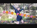 【ゆい】ルカルカ☆ナイトフィーバー　踊ってみた【ちぇりち】