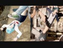 【doa/ryona/リョナ】制服がボロボロになるまで攻撃されるNicoとたまき
