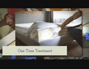 Bed Bug Heat Treatment