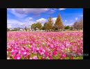 追憶の日本