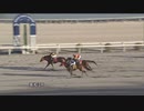 2022年3月15日高知競馬3R 赤岡騎手のファン協賛 ４５回目のＨＢＤ特別(C3-3組) チャットムーン